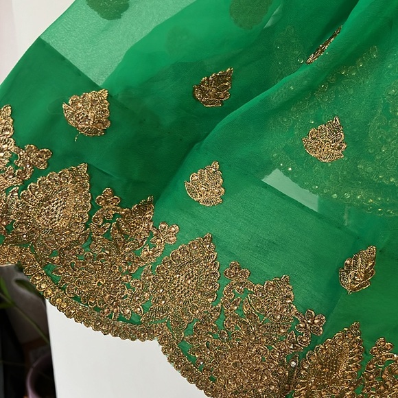 Green and Gold Indian Saree - Picture 2 of 3